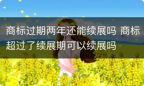 商标过期两年还能续展吗 商标超过了续展期可以续展吗