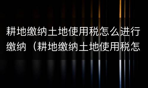 耕地缴纳土地使用税怎么进行缴纳（耕地缴纳土地使用税怎么进行缴纳申报）