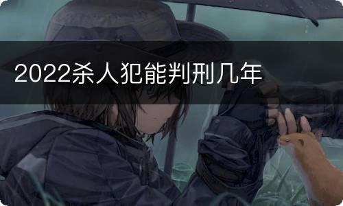 2022杀人犯能判刑几年