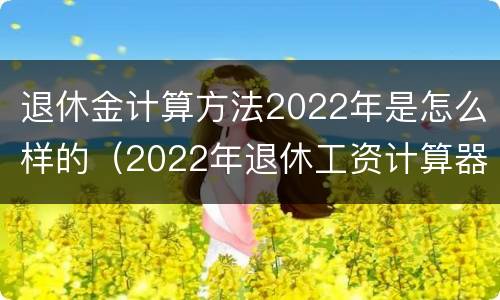 退休金计算方法2022年是怎么样的（2022年退休工资计算器）
