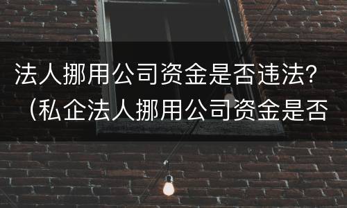 法人挪用公司资金是否违法？（私企法人挪用公司资金是否违法）