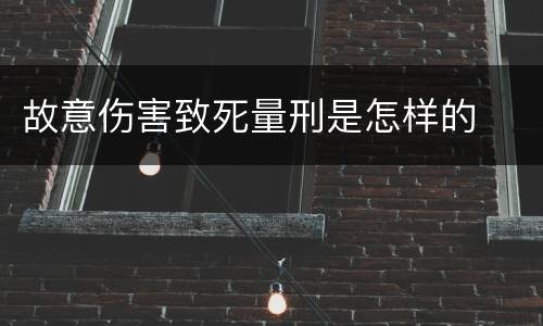 故意伤害致死量刑是怎样的