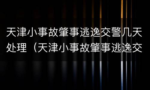 天津小事故肇事逃逸交警几天处理（天津小事故肇事逃逸交警几天处理结束）