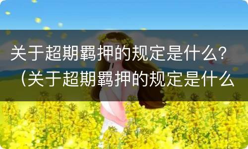 关于超期羁押的规定是什么？（关于超期羁押的规定是什么文件）