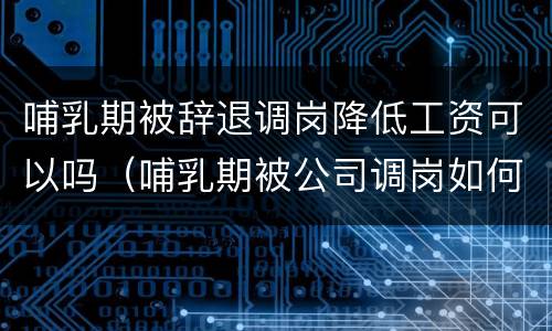 哺乳期被辞退调岗降低工资可以吗（哺乳期被公司调岗如何申请劳动仲裁）