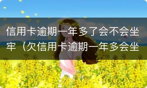信用卡逾期一年多了会不会坐牢（欠信用卡逾期一年多会坐牢吗）