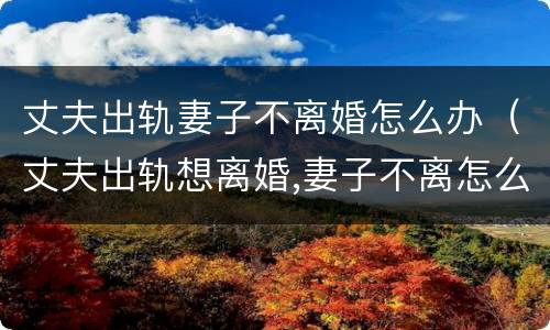 丈夫出轨妻子不离婚怎么办（丈夫出轨想离婚,妻子不离怎么办）