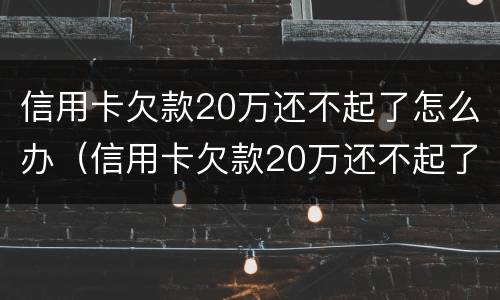 信用卡欠款20万还不起了怎么办（信用卡欠款20万还不起了怎么办理）