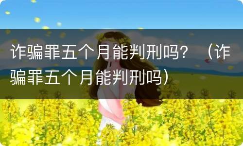 诈骗罪五个月能判刑吗？（诈骗罪五个月能判刑吗）