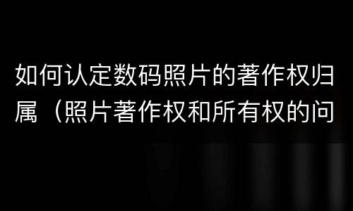 如何认定数码照片的著作权归属（照片著作权和所有权的问题）