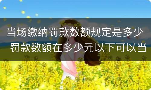 当场缴纳罚款数额规定是多少 罚款数额在多少元以下可以当场收缴