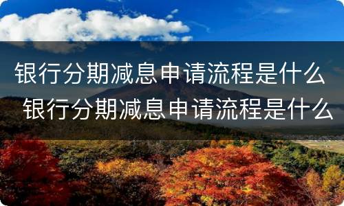 银行分期减息申请流程是什么 银行分期减息申请流程是什么意思