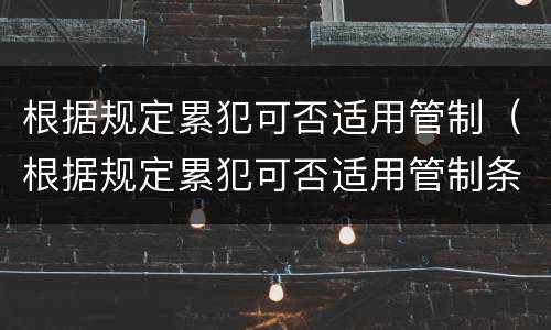 根据规定累犯可否适用管制（根据规定累犯可否适用管制条款）