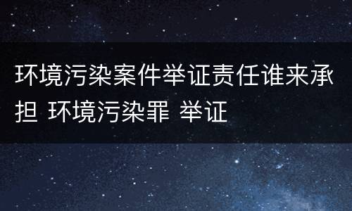 环境污染案件举证责任谁来承担 环境污染罪 举证