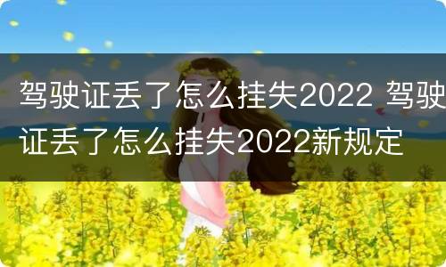 驾驶证丢了怎么挂失2022 驾驶证丢了怎么挂失2022新规定