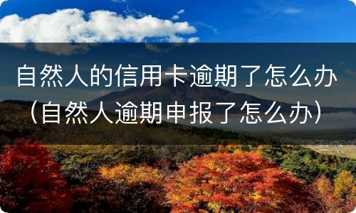 自然人的信用卡逾期了怎么办（自然人逾期申报了怎么办）