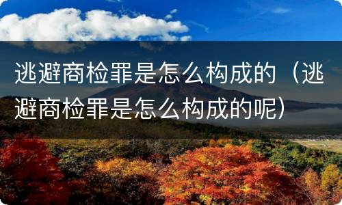 逃避商检罪是怎么构成的（逃避商检罪是怎么构成的呢）
