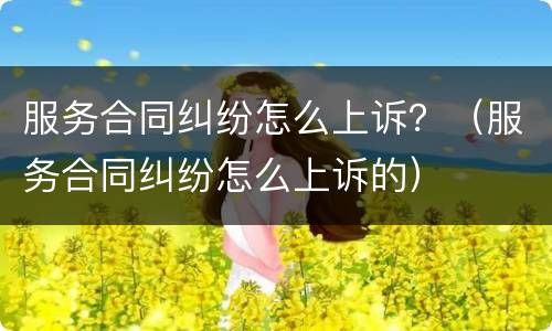 服务合同纠纷怎么上诉？（服务合同纠纷怎么上诉的）