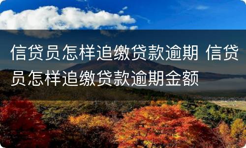 信贷员怎样追缴贷款逾期 信贷员怎样追缴贷款逾期金额