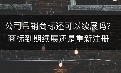 公司吊销商标还可以续展吗？ 商标到期续展还是重新注册