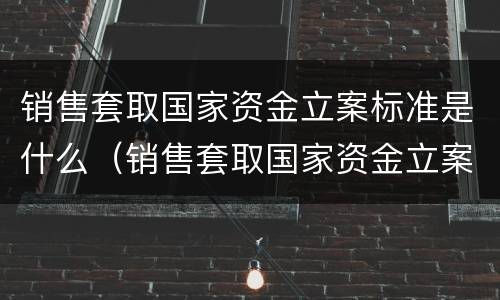销售套取国家资金立案标准是什么（销售套取国家资金立案标准是什么意思）