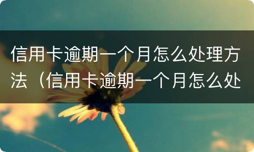 信用卡逾期一个月怎么处理方法（信用卡逾期一个月怎么处理方法最快）