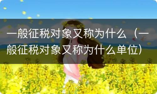 一般征税对象又称为什么（一般征税对象又称为什么单位）
