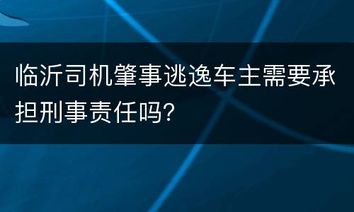 临沂司机肇事逃逸车主需要承担刑事责任吗？