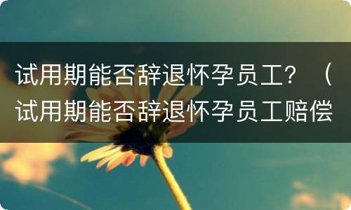试用期能否辞退怀孕员工？（试用期能否辞退怀孕员工赔偿）