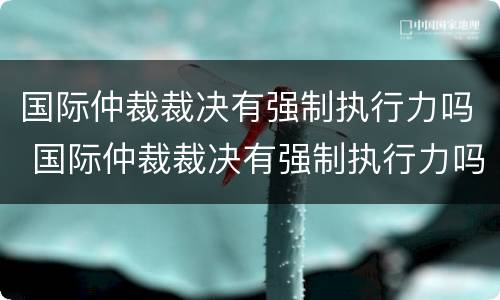 国际仲裁裁决有强制执行力吗 国际仲裁裁决有强制执行力吗为什么