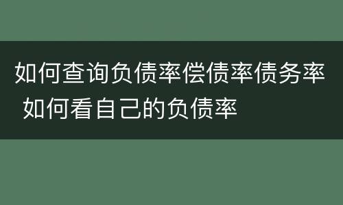 如何查询负债率偿债率债务率 如何看自己的负债率