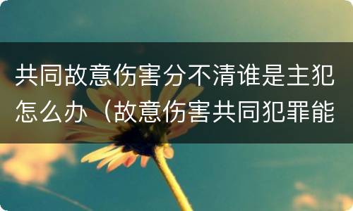 共同故意伤害分不清谁是主犯怎么办（故意伤害共同犯罪能区分责任）