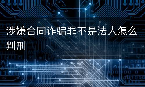 涉嫌合同诈骗罪不是法人怎么判刑