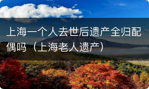 上海一个人去世后遗产全归配偶吗（上海老人遗产）