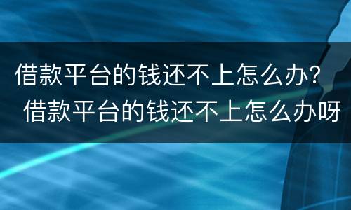 借款平台的钱还不上怎么办？ 借款平台的钱还不上怎么办呀