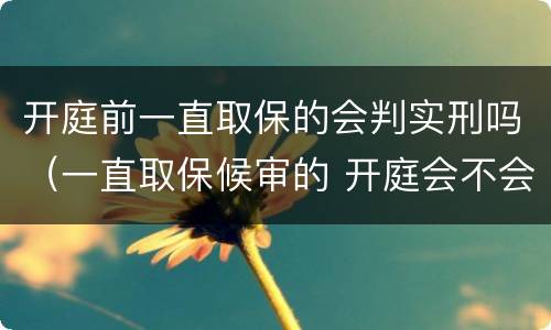 开庭前一直取保的会判实刑吗（一直取保候审的 开庭会不会实刑）