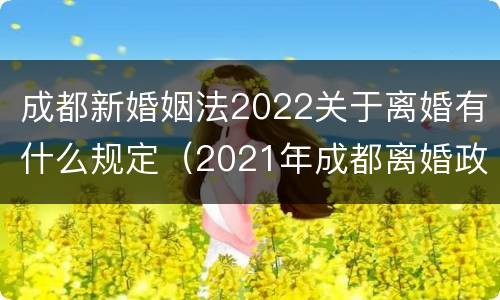 成都新婚姻法2022关于离婚有什么规定（2021年成都离婚政策）
