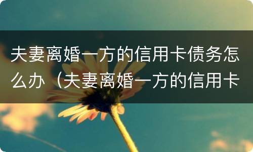 夫妻离婚一方的信用卡债务怎么办（夫妻离婚一方的信用卡债务怎么办理）