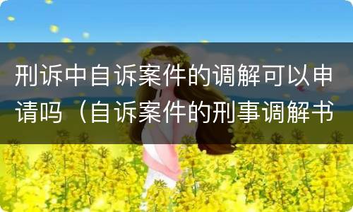 刑诉中自诉案件的调解可以申请吗（自诉案件的刑事调解书可以上诉吗）