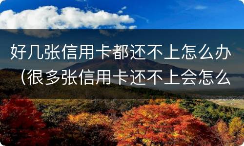 好几张信用卡都还不上怎么办（很多张信用卡还不上会怎么样）