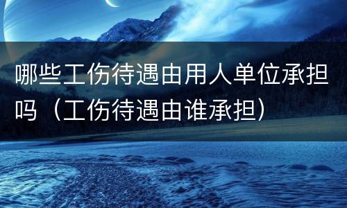 哪些工伤待遇由用人单位承担吗（工伤待遇由谁承担）