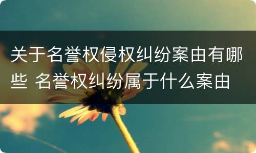 关于名誉权侵权纠纷案由有哪些 名誉权纠纷属于什么案由