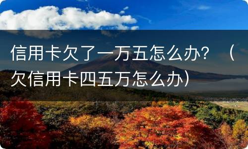 信用卡欠了一万五怎么办？（欠信用卡四五万怎么办）