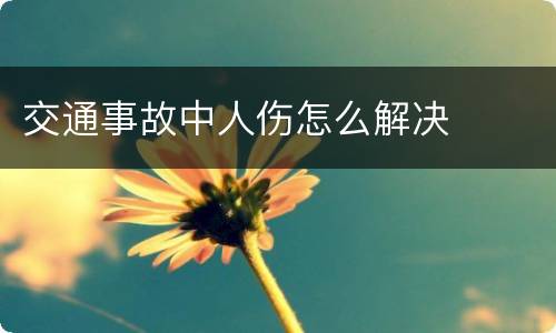 交通事故中人伤怎么解决