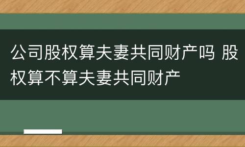 公司股权算夫妻共同财产吗 股权算不算夫妻共同财产