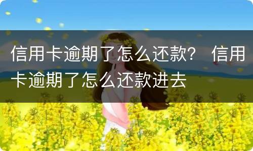 信用卡逾期了怎么还款？ 信用卡逾期了怎么还款进去