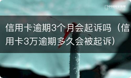 信用卡逾期3个月会起诉吗（信用卡3万逾期多久会被起诉）