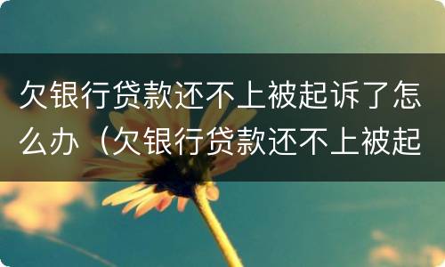 欠银行贷款还不上被起诉了怎么办（欠银行贷款还不上被起诉了怎么办会不会坐牢）
