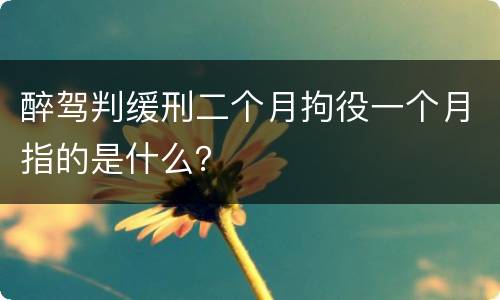 醉驾判缓刑二个月拘役一个月指的是什么？