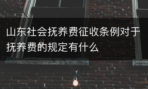山东社会抚养费征收条例对于抚养费的规定有什么